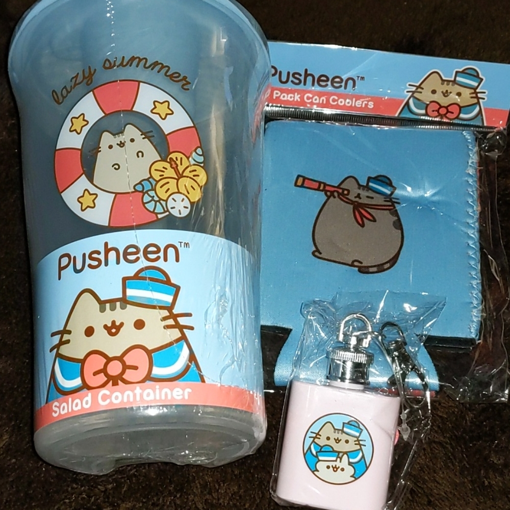 Pusheen salad cup, flask keychain, drink cozies
